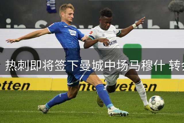 热刺即将签下曼城中场马穆什 转会谈判进入最后阶段