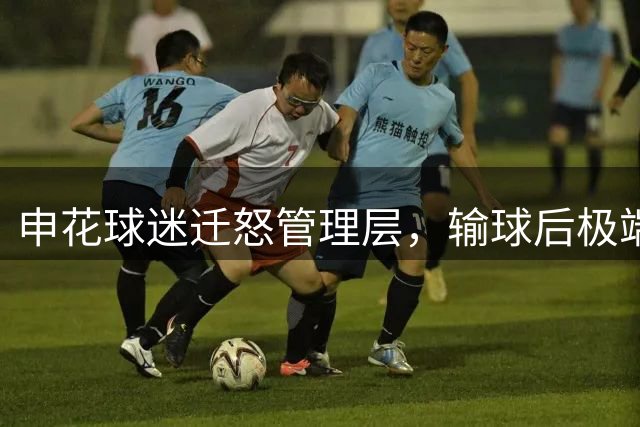申花球迷迁怒管理层，输球后极端行为引争议